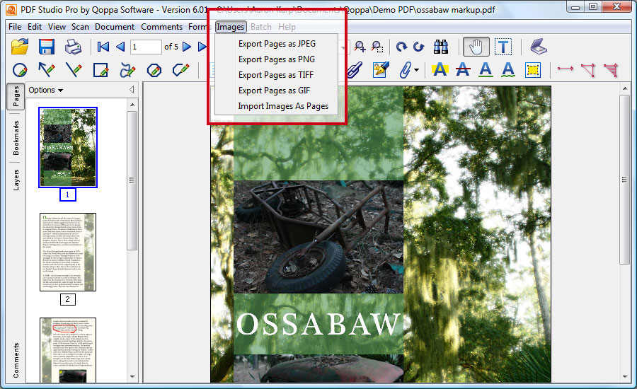 Convert PDF to JPEG, TIFF or PNG images or import images as PDF pages